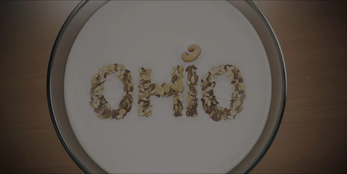 Фото галереи #5