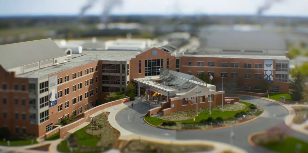 Фото галереи #7